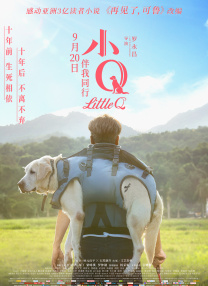 一本一道久久